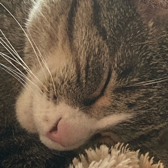 Meet your Posher, Carmen - Picture 3 of 3